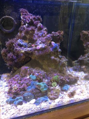 2013-05-25 11.38.23.jpg
