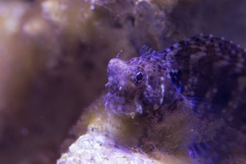 _MG_5799.jpg