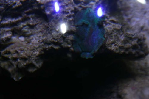IMG_8709.JPG