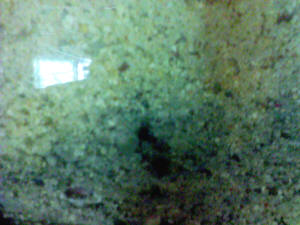 sand%20and%20NO3.jpg