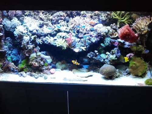 2013-03-27 19.00.00.jpg
