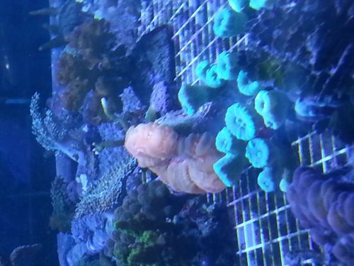 20130531_211512.jpg
