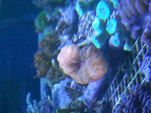20130531_211536.jpg