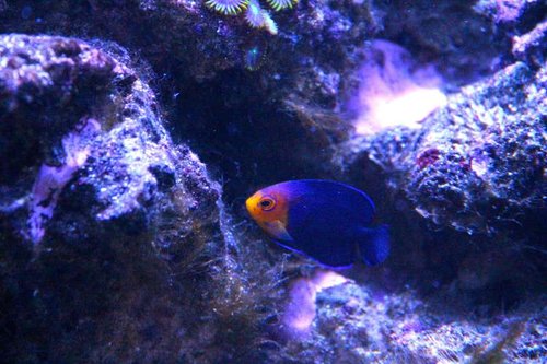 IMG_6696.JPG