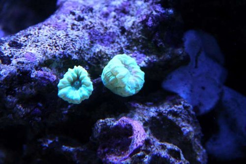 IMG_6673.JPG