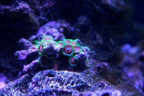 IMG_6672.JPG