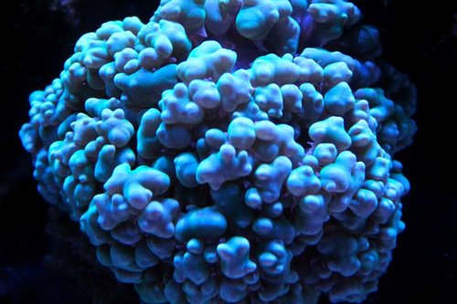 IMG_6671.JPG