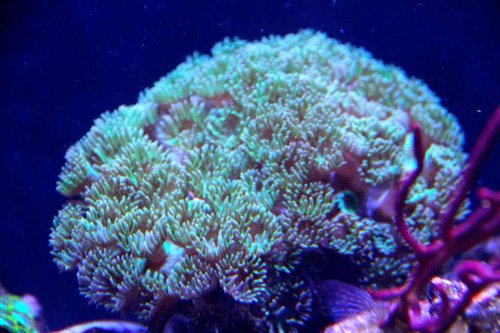 IMG_6668.JPG