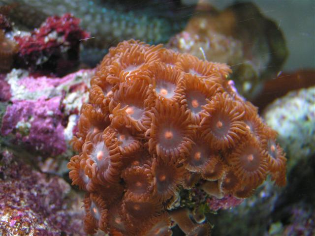 PICT0014 (Small).JPG