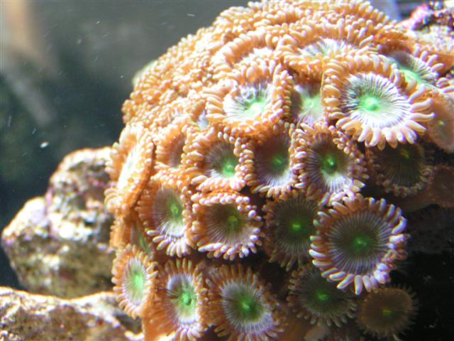 PICT0012 (Small).JPG