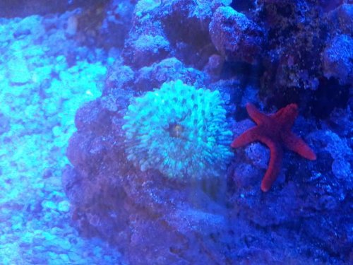 20130609_100754.jpg
