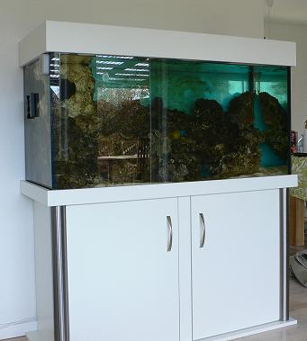 hele akvariet