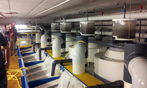 20130613_171255.jpg (277.5 KiB) Vist 28851 gange Skummere