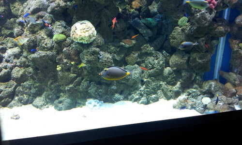20130613_174647.jpg