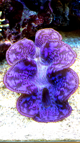 2013-05-12 22.32.27.png