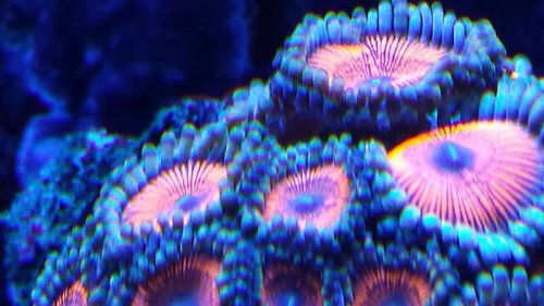 20130613_233812.jpg