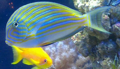 IMAG0709_BURST009_1.jpg