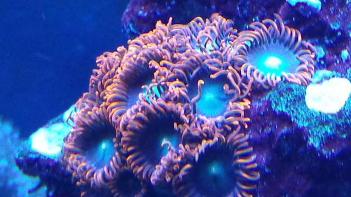 20130613_233753.jpg