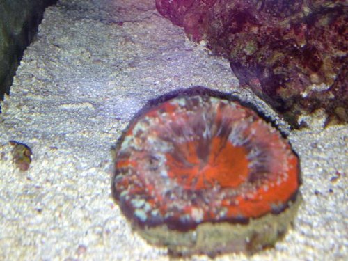 IMG_0360.JPG