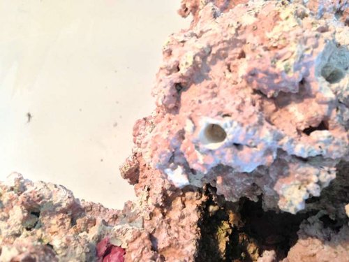 foto(30).JPG (50.06 KiB) Vist 1288 gange et færdigt hul ;-)