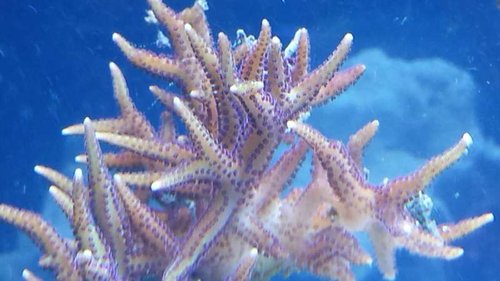 20130617_201358.jpg