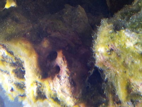 IMG_20130617_210707.jpg