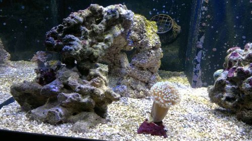 2013-06-18-2406.jpg (60.38 KiB) Vist 1422 gange Venstre side med den nye JJ-keramiksøjle set forfra som er ved at blive indkørt