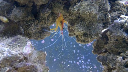 2013-06-18-2409.jpg (49.83 KiB) Vist 1405 gange Dannebrogsreje kigger ud fra rejsestationen