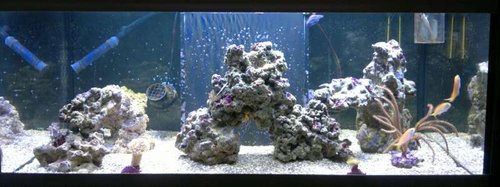 FTS