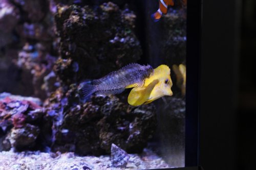 _MG_5937.JPG