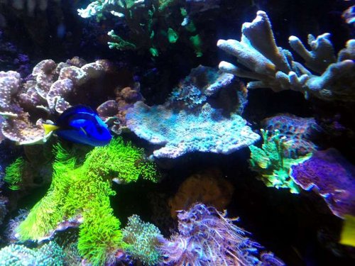 P_20130628_172657.jpg