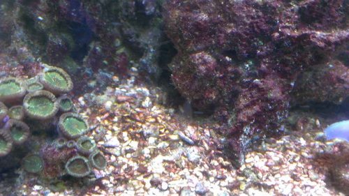 IMAG0394.jpg