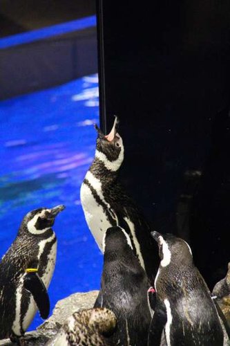IMG_7891.jpg