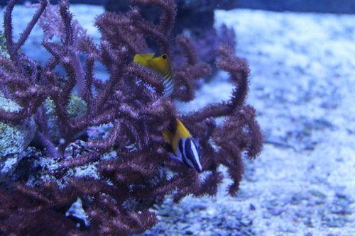 IMG_7859.JPG