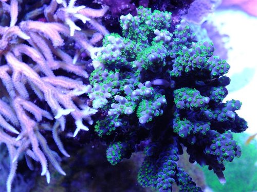DSCF8633 (Medium).jpg