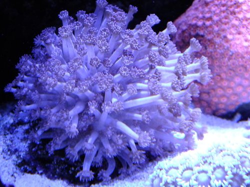 DSCF8645 (Medium).jpg