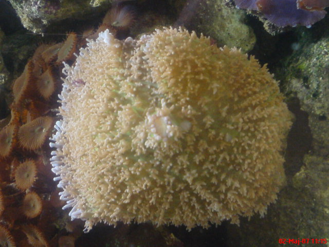 DSC00226.JPG