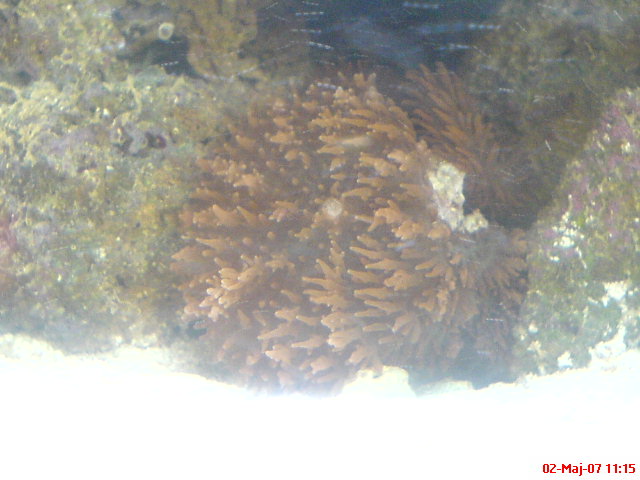 DSC00225.JPG