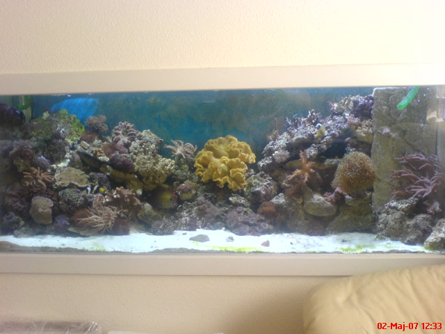 DSC00232.JPG
