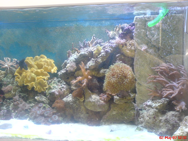 DSC00228.JPG