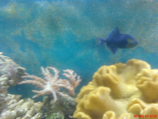DSC00230.JPG