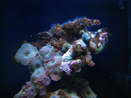 IMG_2286.JPG