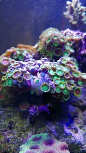 WP_20130708_002.jpg
