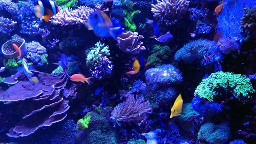 2013-07-06 21.43.44.jpg