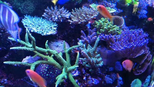 2013-07-06 21.43.25.jpg