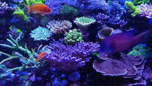 2013-07-06 21.42.46.jpg