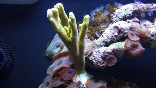 20130716_161036.jpg