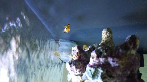 20130716_160542.jpg