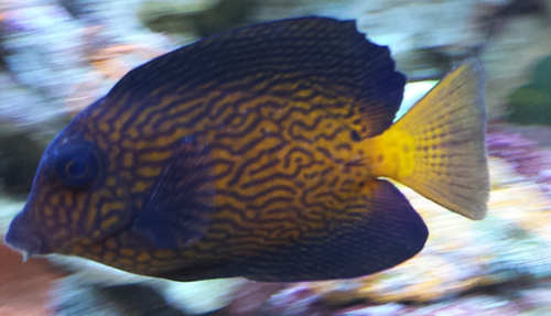 2013-07-17 23.20.40.png