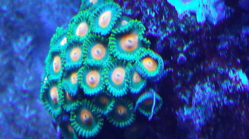 20130717_231018.jpg